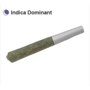 Kiwi Berry Pre-Roll 1g