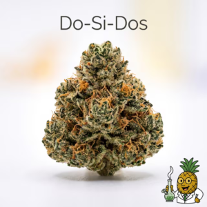 do-si-dos-24-most-popular-2026