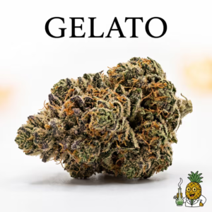 gelato-15-most-popular-2026