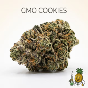 gmo-cookies-8-most-popular-2026