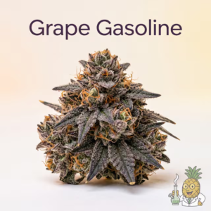 grape-gasoline-23-most-popular-2026