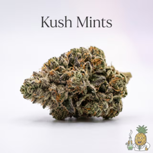 kush-mints-20-most-popular-2026