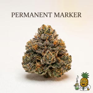 permanent-marker-2-most-popular-2026