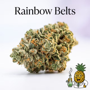 rainbow-belts-22-most-popular-2026